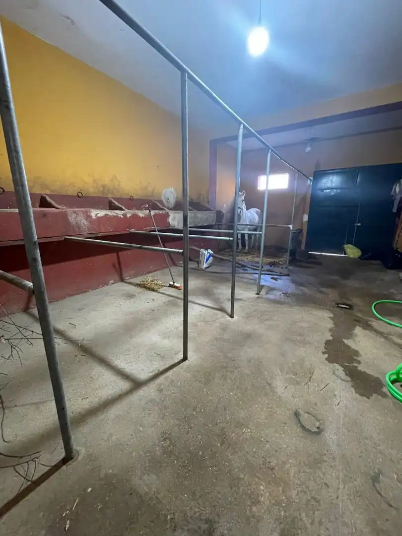 Casa en venda a El Rocío, imagen 36