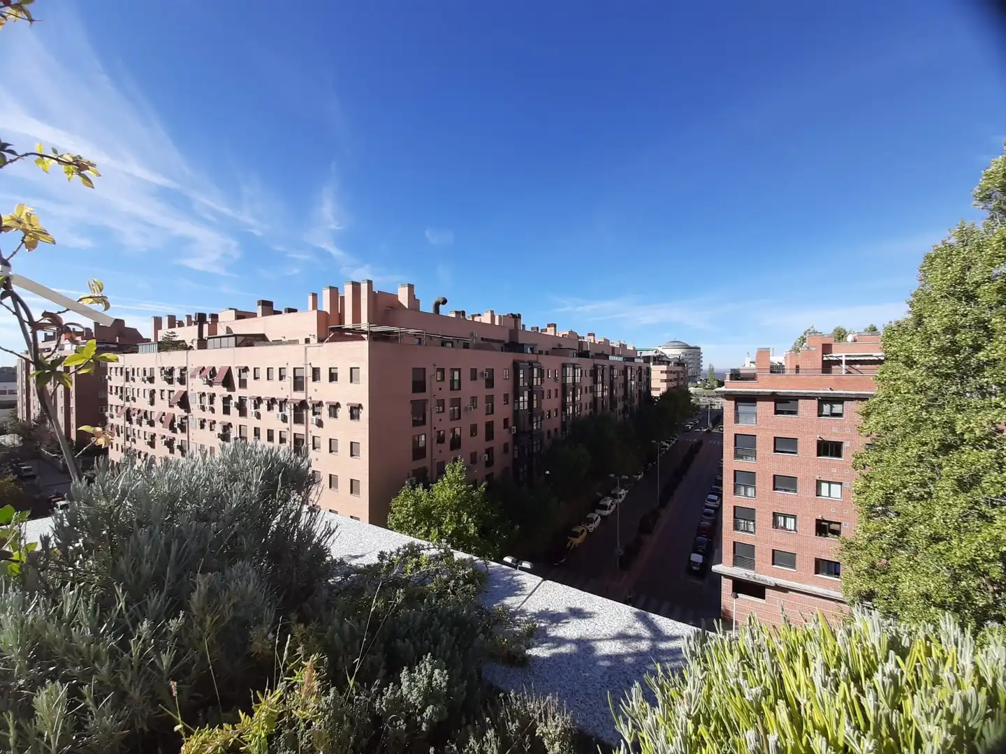 Flat with lift to rent in LABRADORES, imagen 21