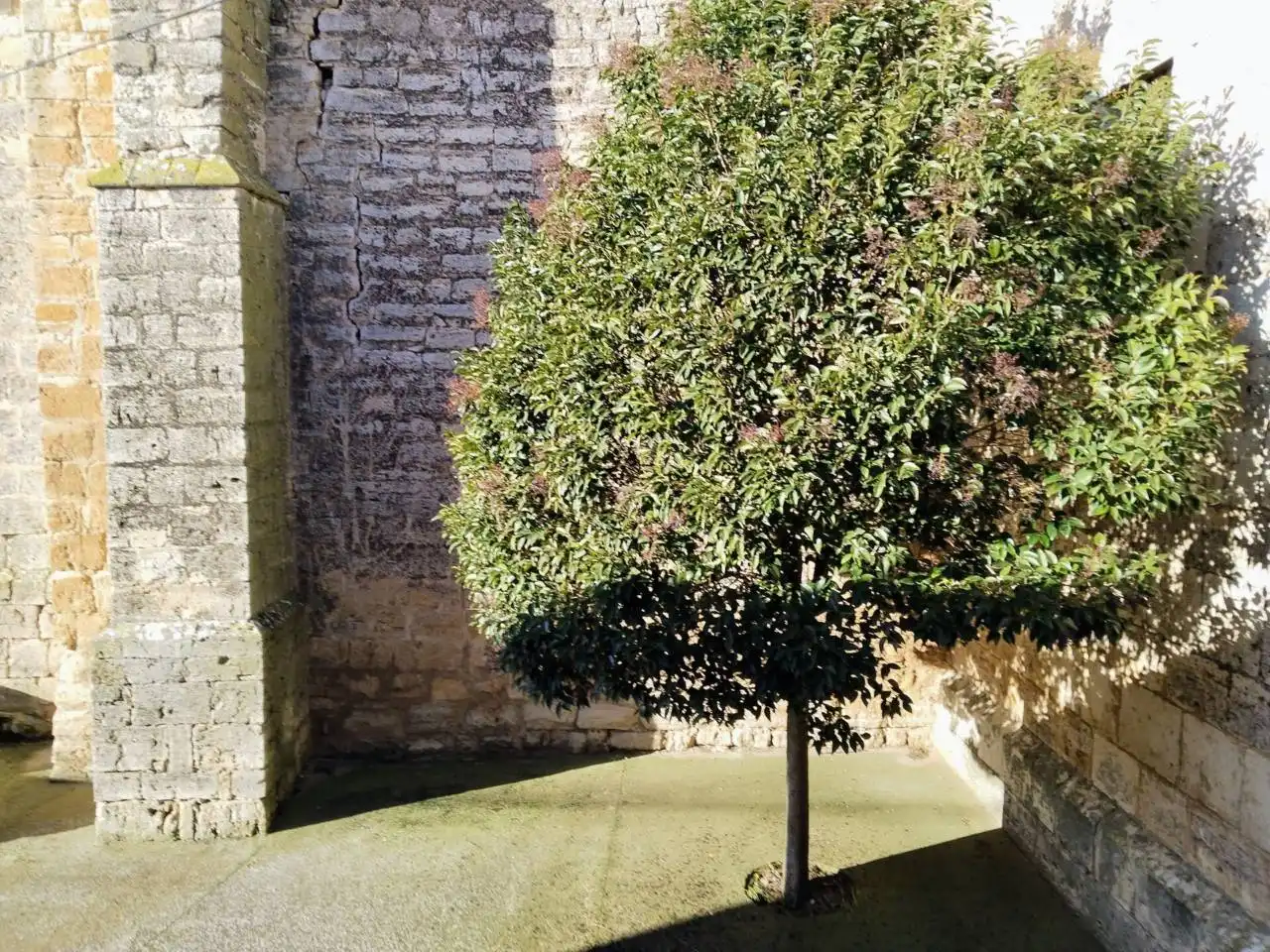 Garden of Houses for sale in Mazuela, Burgos