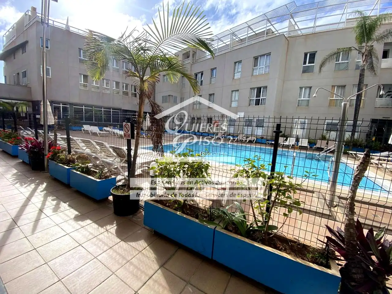 Swimming pool of Commercial properties for sale in Gáldar
