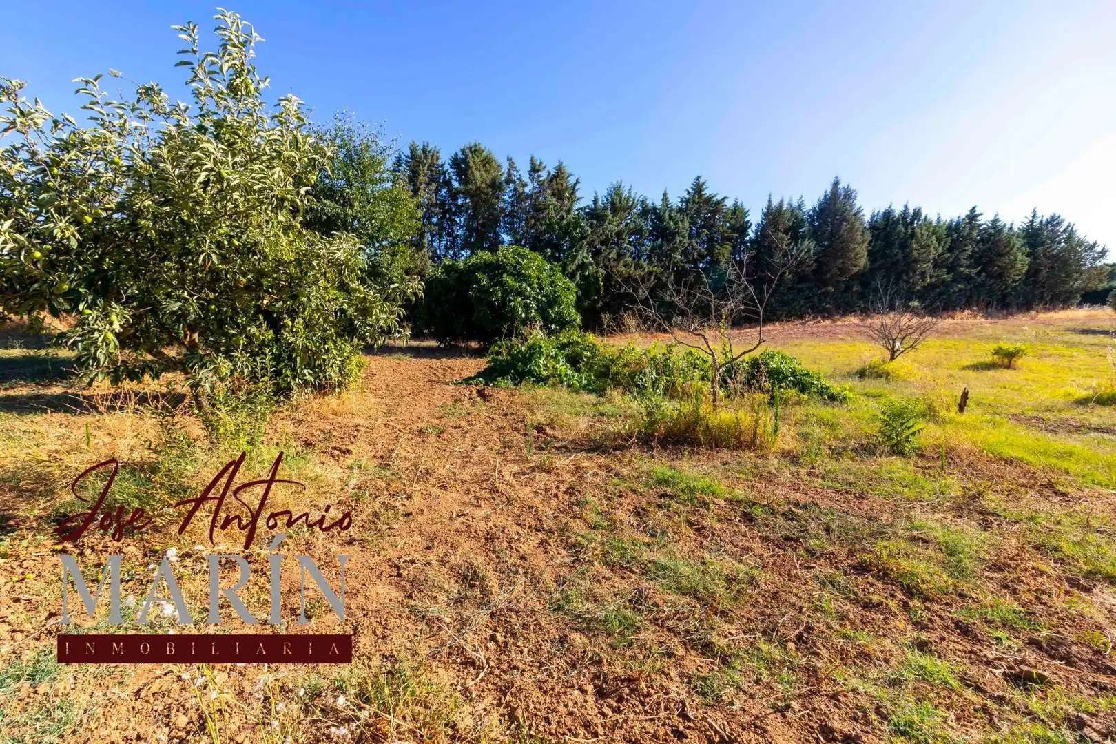 Casa o chalet en venta en Badajoz con Aire acondicionado, Jardín privado y Piscina