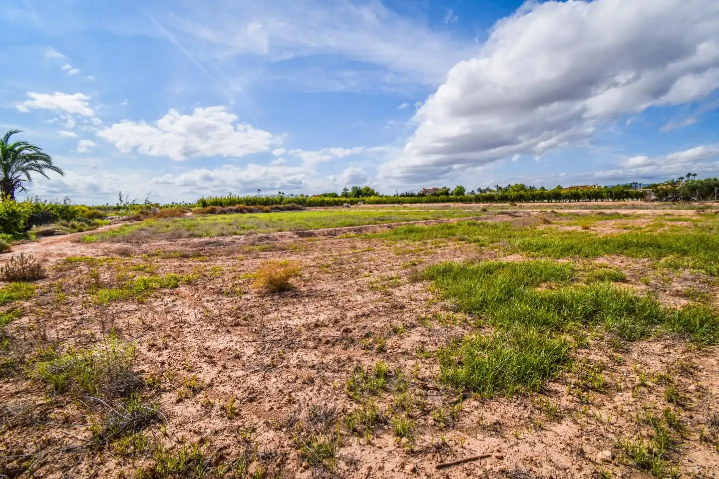 Terrain rustique à vendre à Elx - Santa Pola, imagen 7