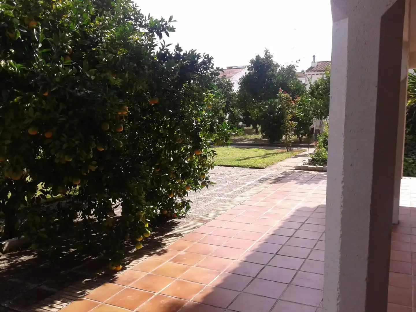 Jardín de Casa o chalet en venta en Beas con Jardín privado