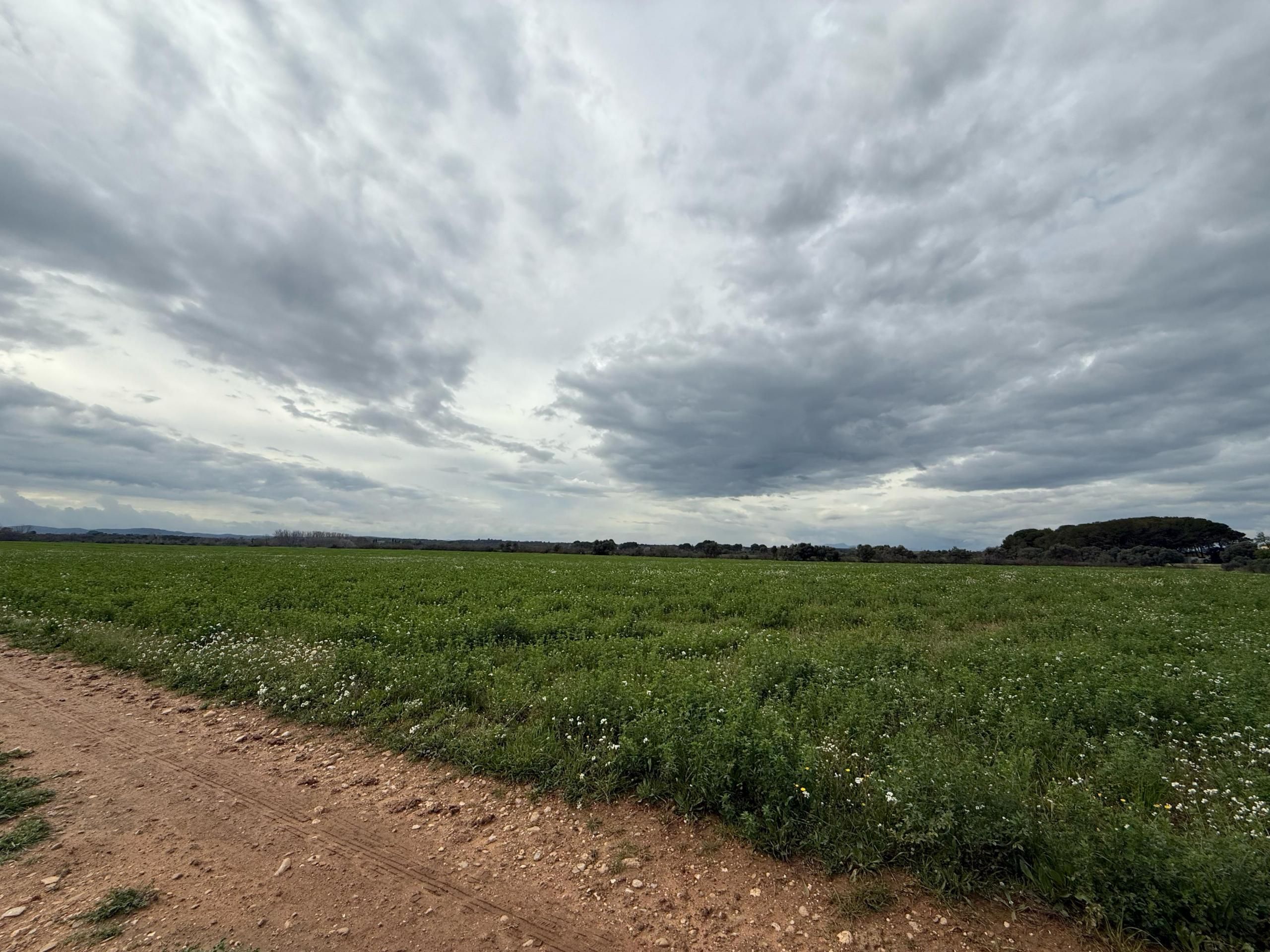 Residencial en venda en Siurana