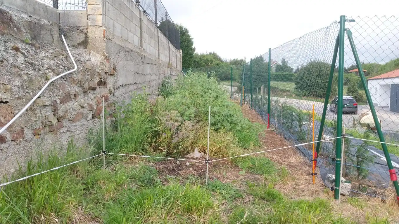 Terreno rustico in vendita a Camino de Caliero, imagen 16