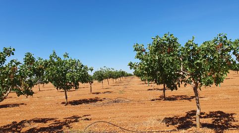 Foto 4 de Terreno en venta en San Fernando - Carretera de Valencia, Cuenca Capital