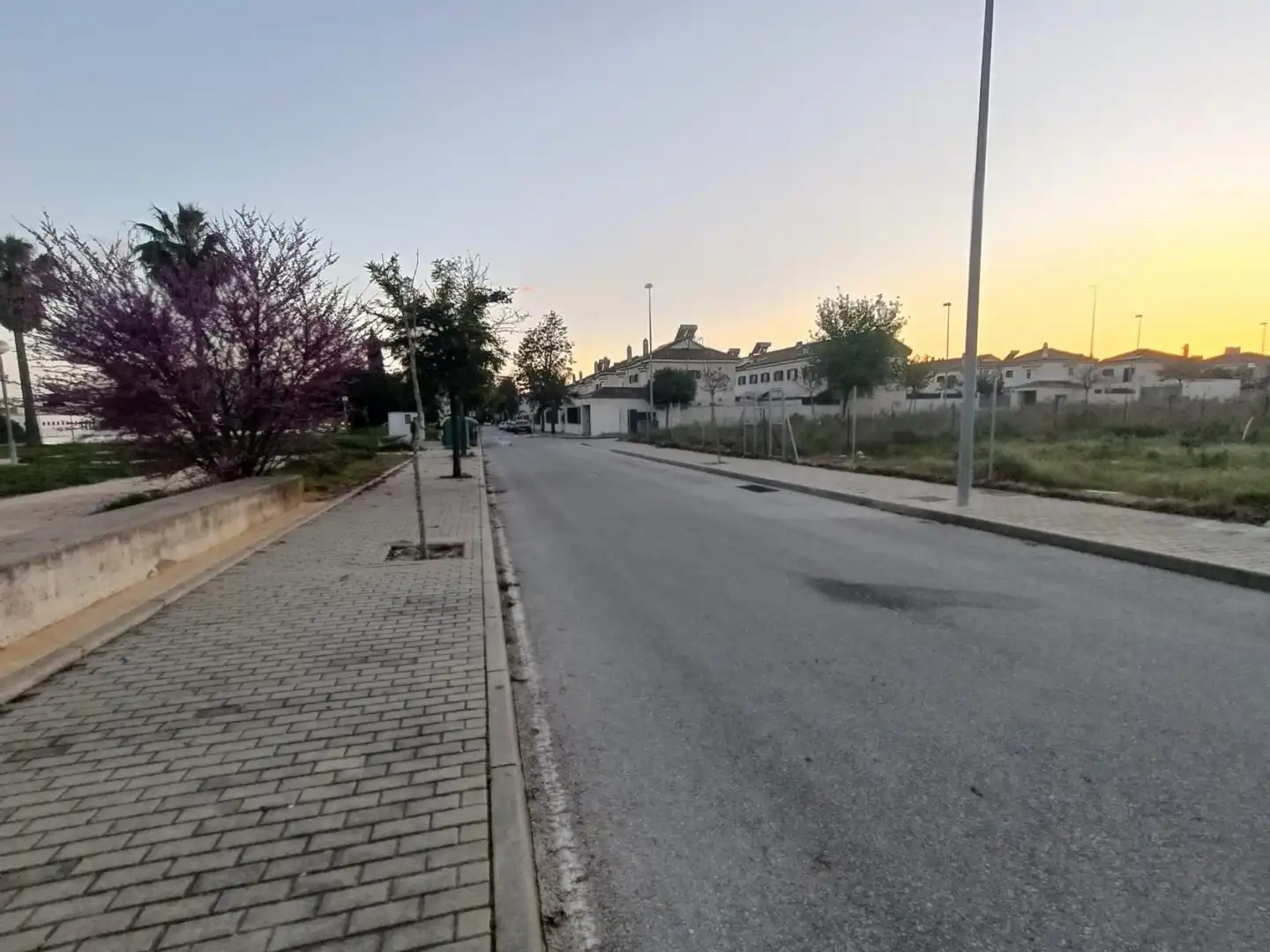 Terrenys i solars en venda a Jerez norte - Montealto - Pozoalbero, imagen 5
