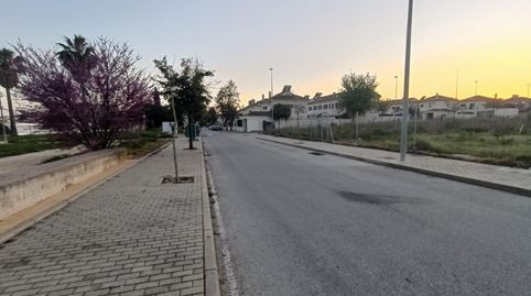Jerez de la FronteraTerreno, imatge 5