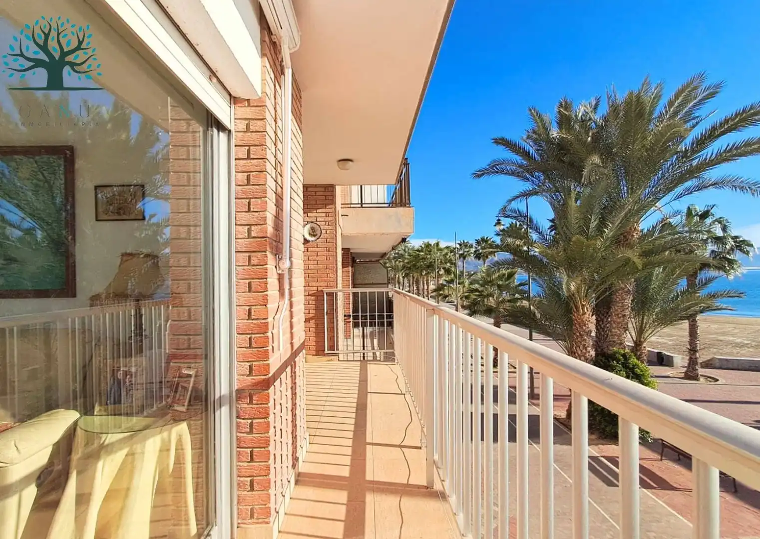 Appartement avec terrasse à vendre à Paseo MARITIMO FRANCISCO MARTINEZ MUÑOZ, imagen 5