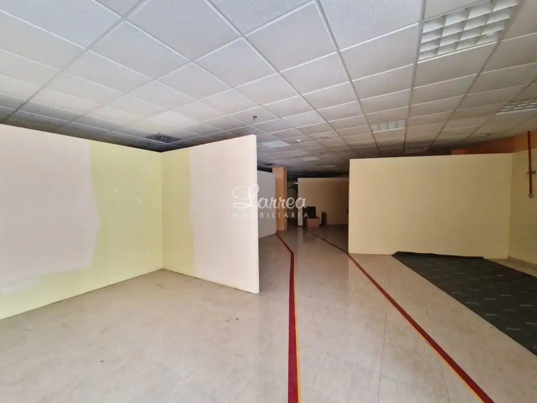 Industriegebäude zum Verkauf in Amorebieta-Etxano, imagen 10