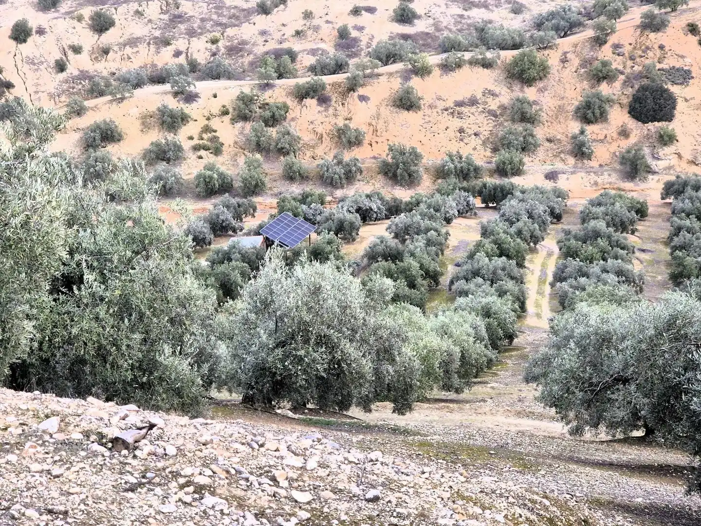 Rural land for sale in Huétor Tájar, imagen 14