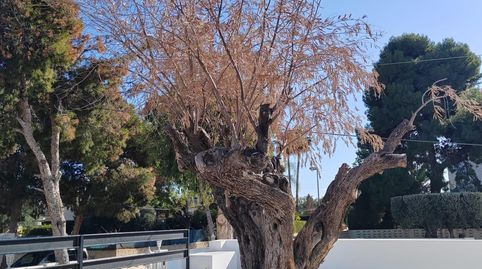 Foto 4 de Casa o chalet en venta en La Font - Mezquitas, Sant Joan d'Alacant