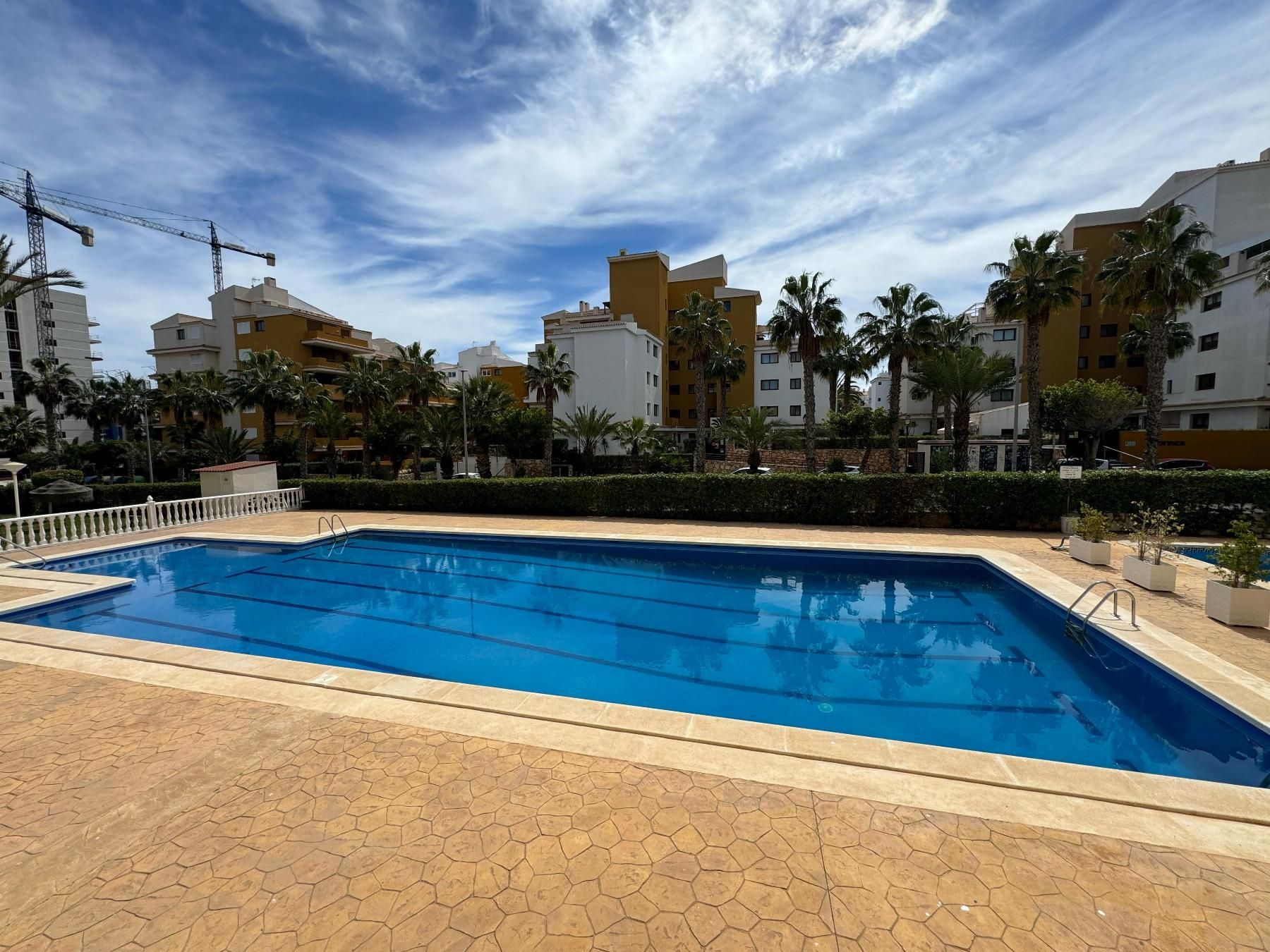 Swimming pool of Apartment for sale in Torrevieja  with Terrace and Community pool