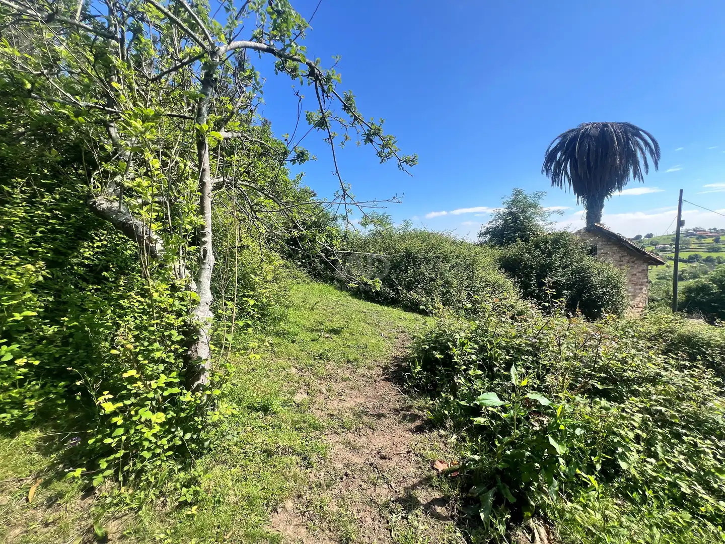 Einfamilien-Reihenhaus zum Verkauf in Castrillón