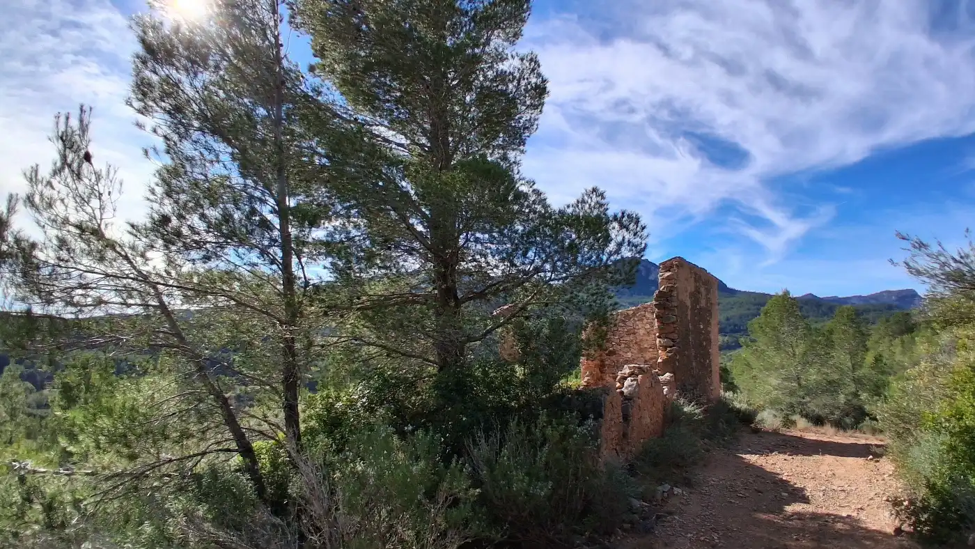 Vista exterior de Terreno en venta en Pratdip