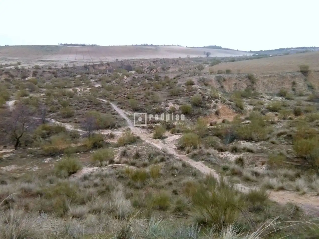 Terreny industrial en venda a El Viso de San Juan, imagen 2