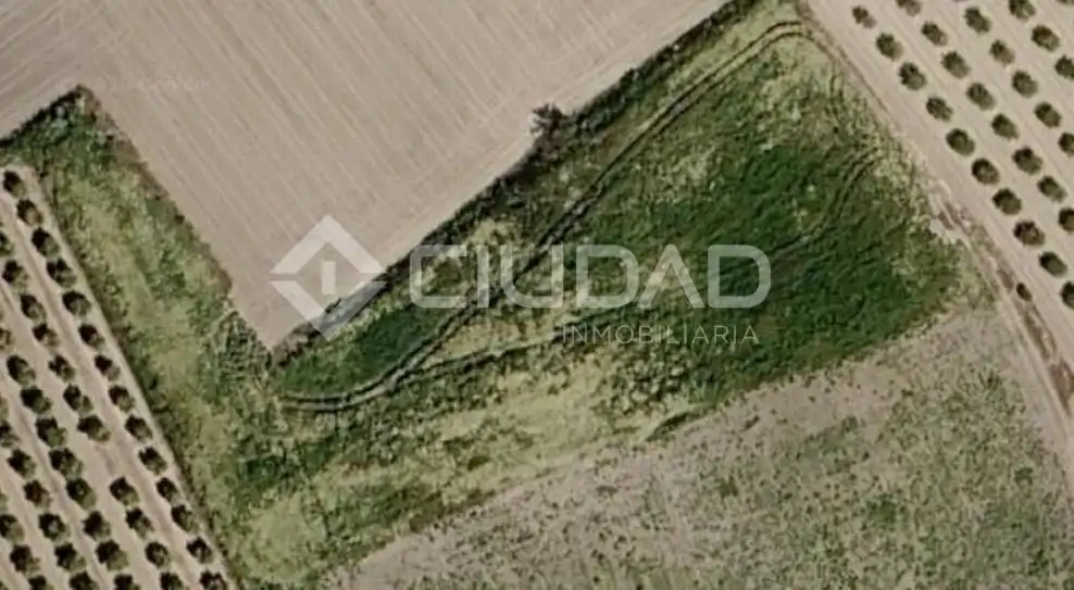 Lands and plots for sale in Lebrija, imagen 4