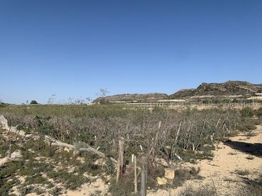 Terreno residencial en venta en Monforte del Cid
