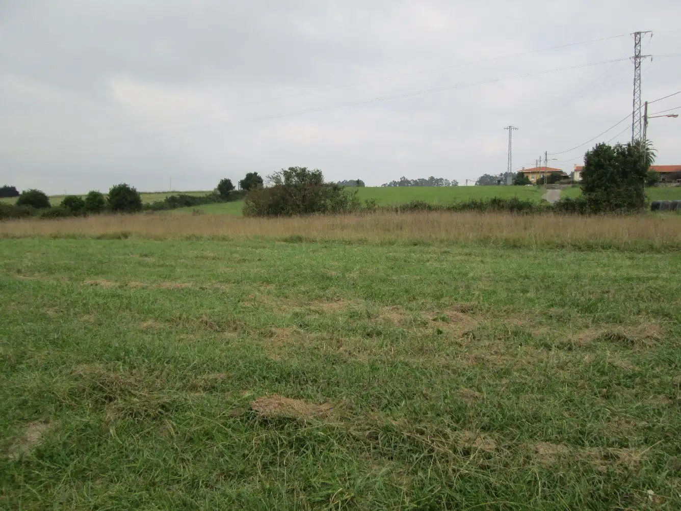 Terreno rustico in vendita a Carreño