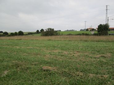 Terreno rustico in vendita a Carreño