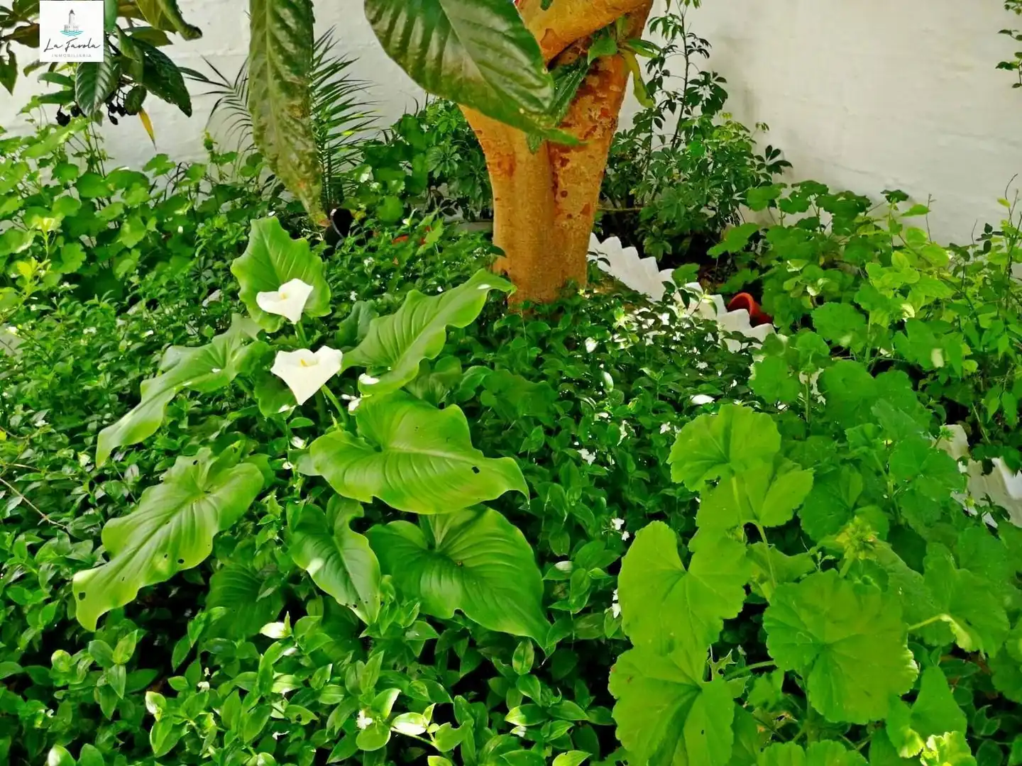 Garden of Houses for sale in Archidona  with Private garden, Terrace and Balcony