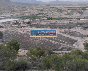 Land for sale in Azuara