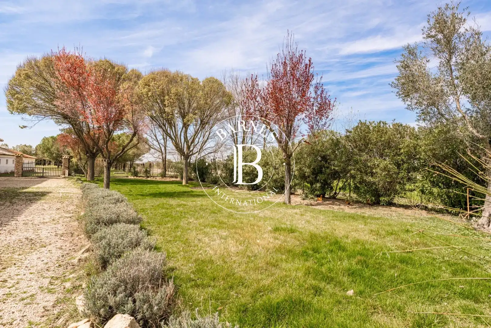Casa o chalet en venta en Alcázar de San Juan con Jardín privado, Piscina y Amueblado