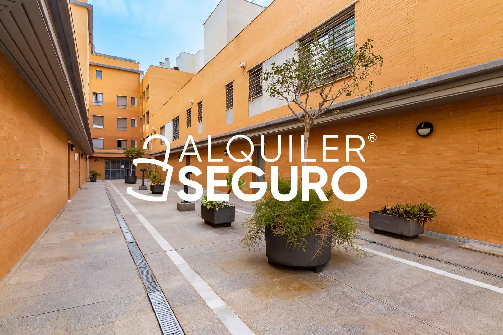 Studio avec ascenseur à louer à Armegual de la Mota, imagen 4