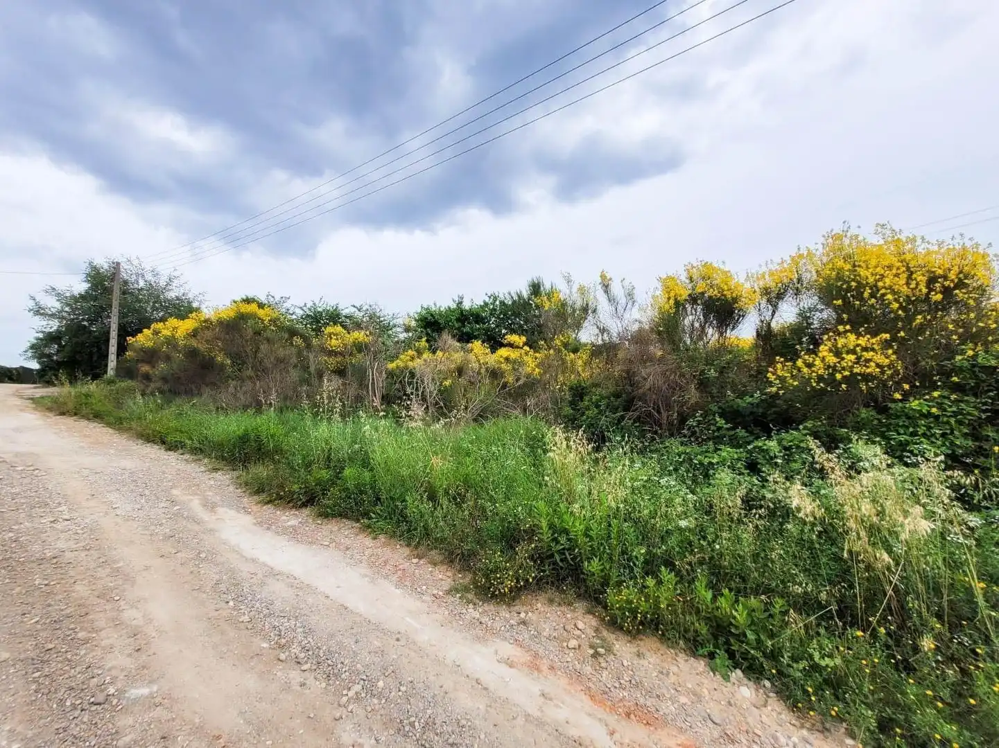 Terreno rústico en venta en Castellbisbal, imagen 15