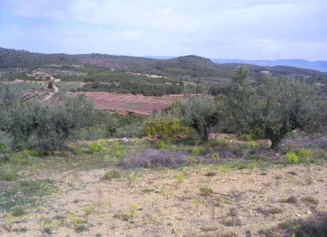 Terreno residencial en Venta en Loma (La) en Segorbe