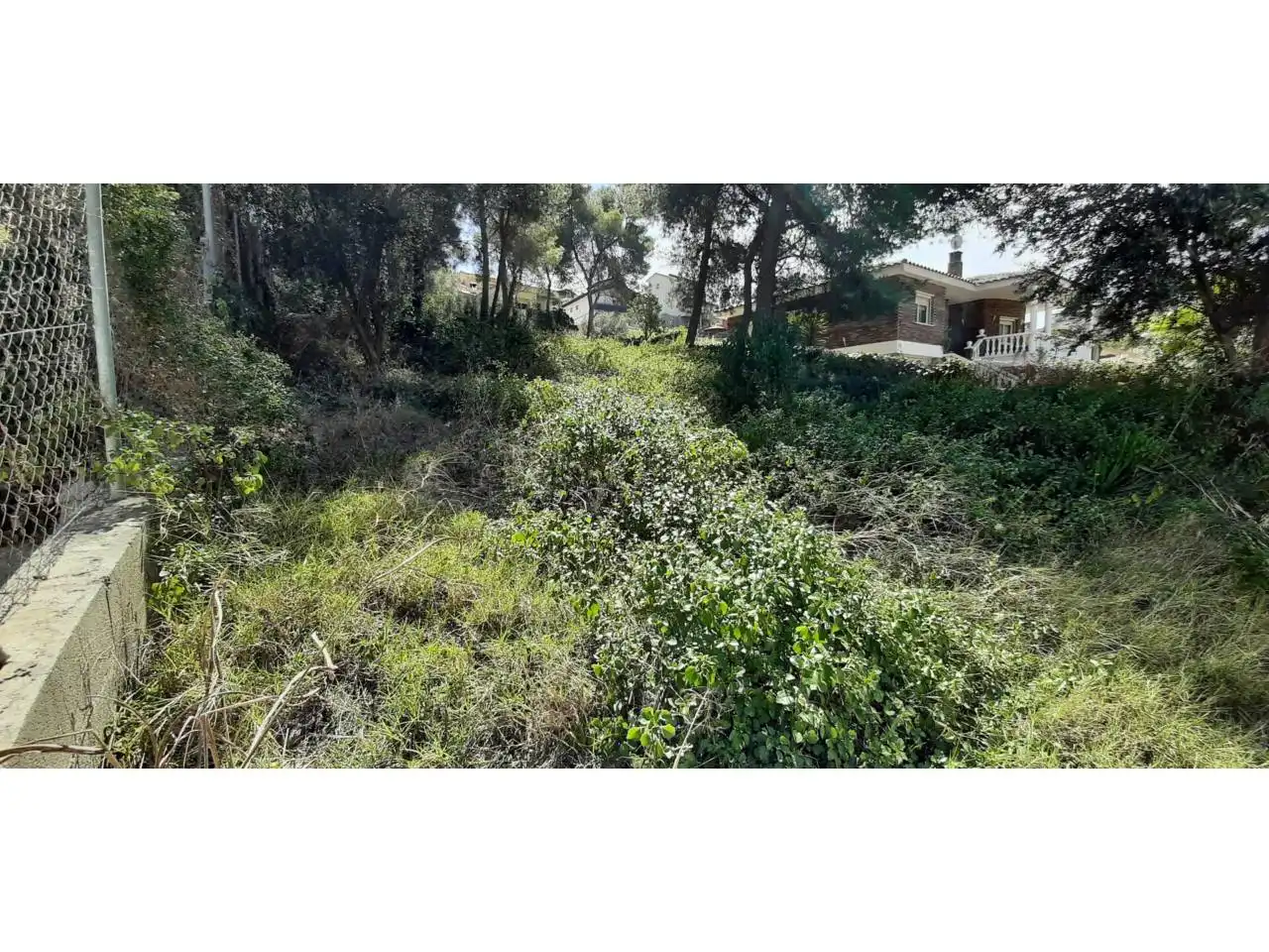 Terrain rustique à vendre à Calle GOYA 28, imagen 3