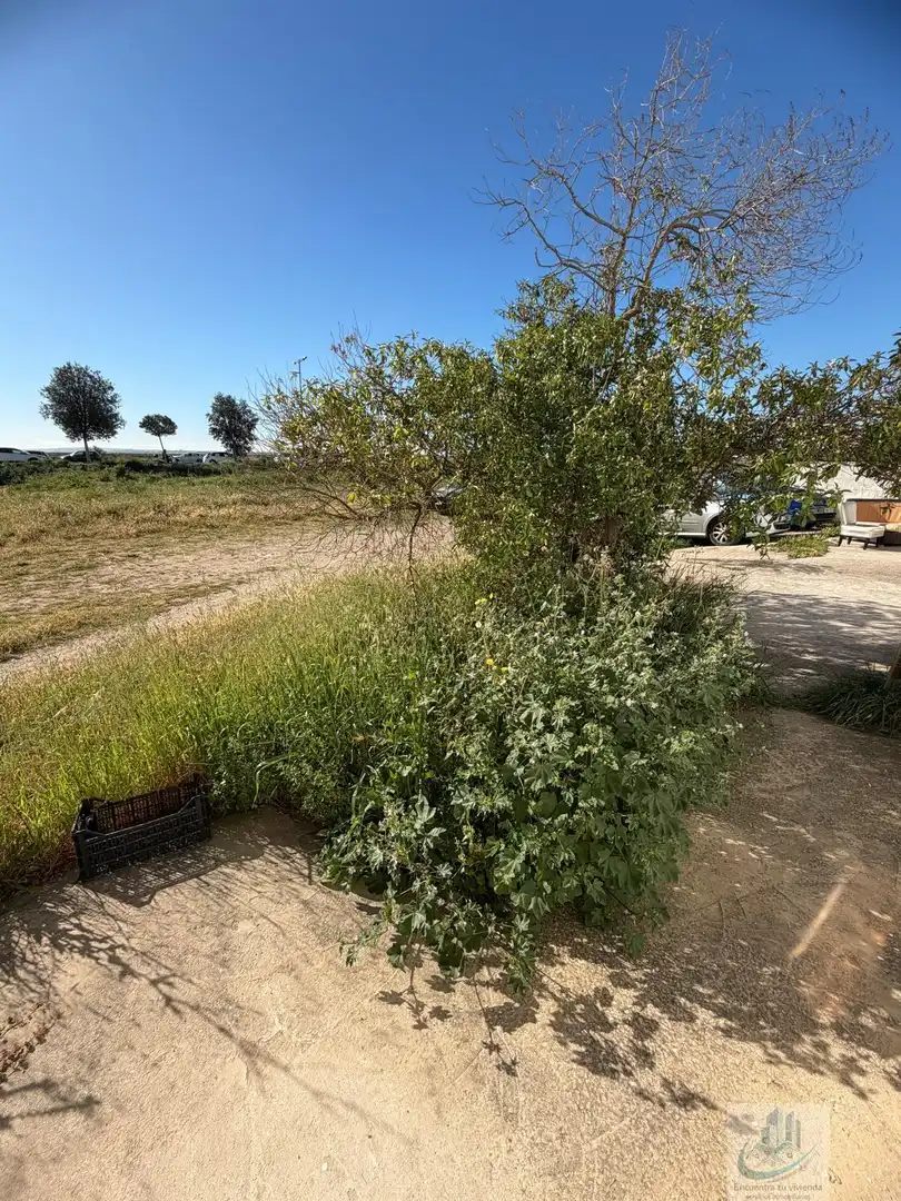 Casa o chalet en venta en San Fernando con Terraza