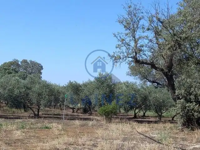 Rural land for sale in Fuente Obejuna, imagen 47
