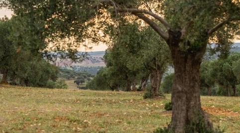 Foto 3 de Casa o xalet en venda a La Granjuela, Córdoba