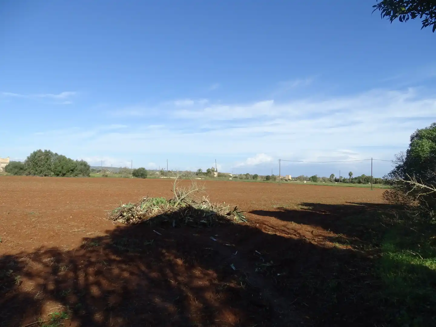 Terreno rustico in vendita a Santanyí Poble, imagen 14