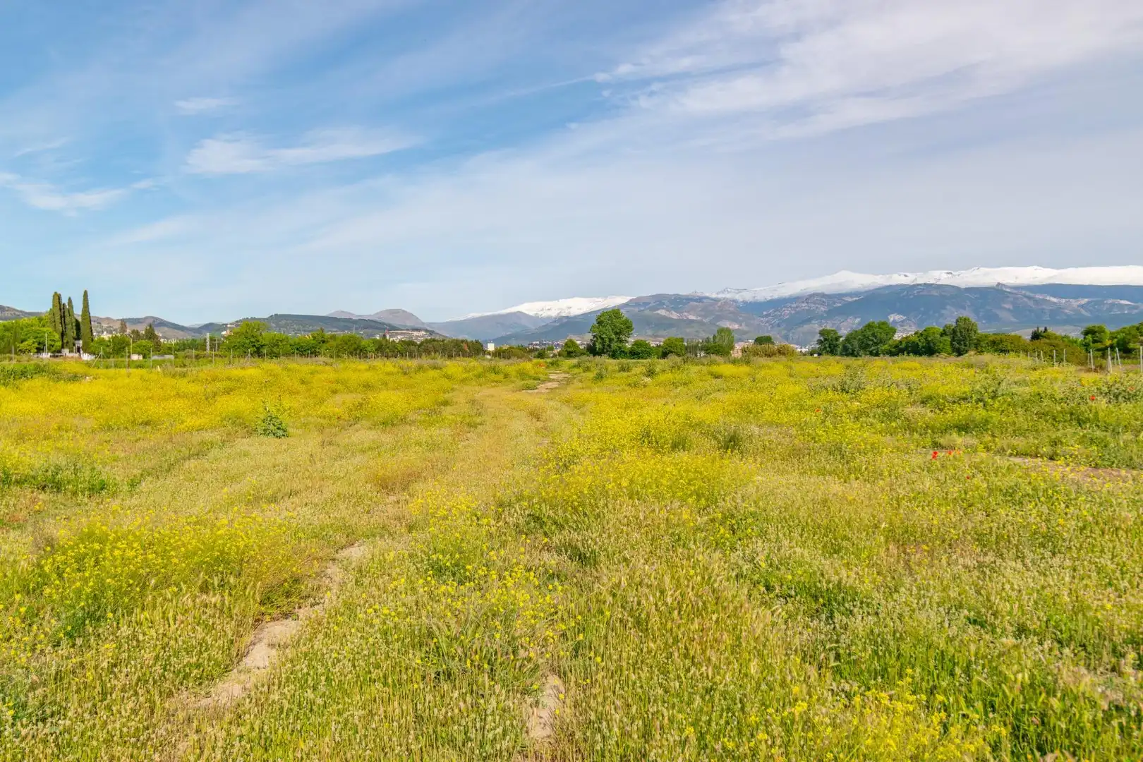 Lands and plots for sale in Polígono 9 Parcela 307 MARACHAT. GRANADA (GRANADA, imagen 38
