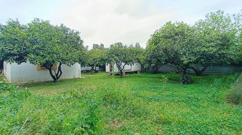 Foto 3 de Finca rústica en venta en El Juncal - Vallealto, El Puerto de Santa María