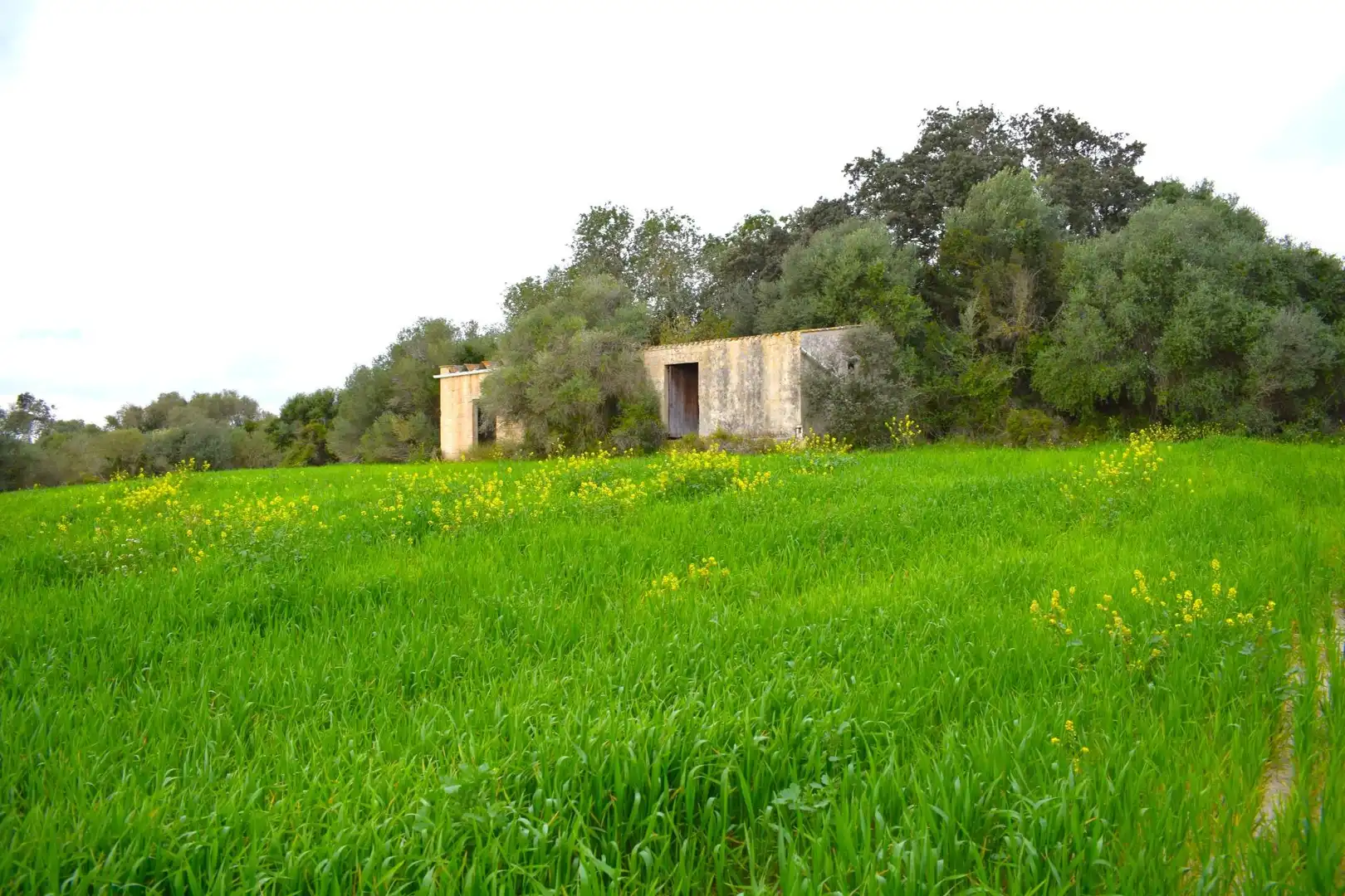 Casa rústica en venta en Muro, imagen 22
