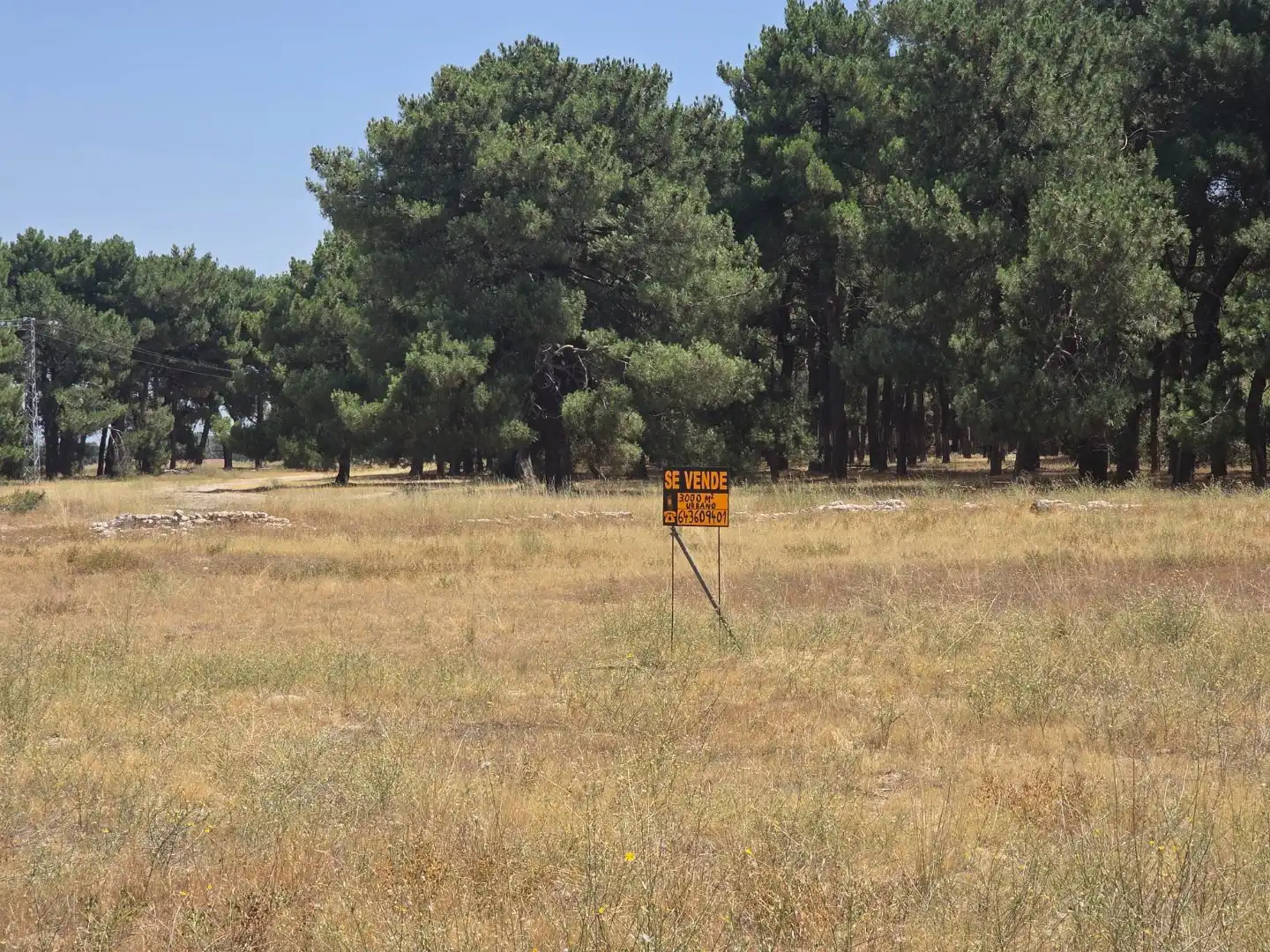 Residential for sale in Cantalejo
