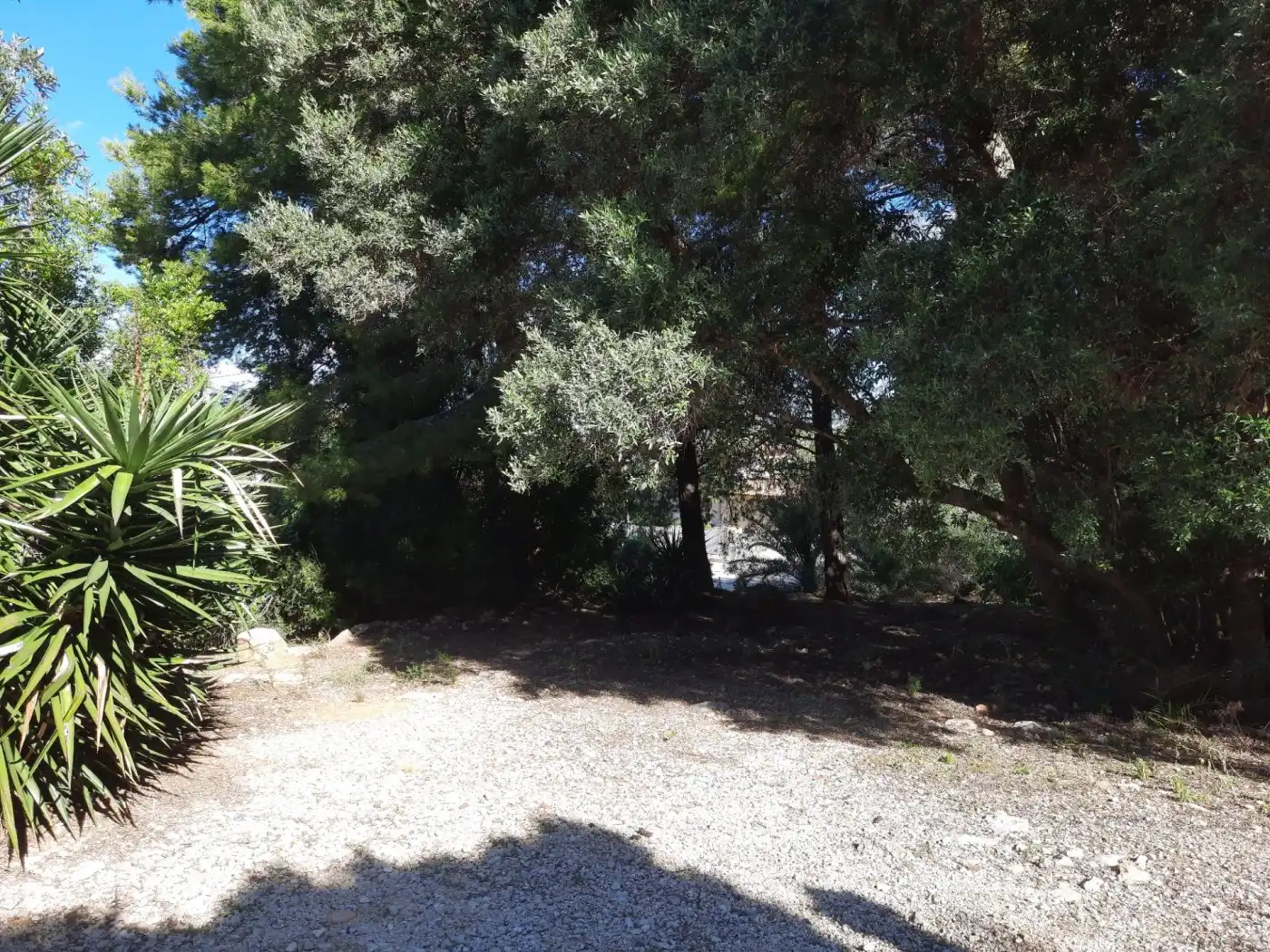 Grundstücke und Bauplätze zum Verkauf in El Montgó, imagen 3