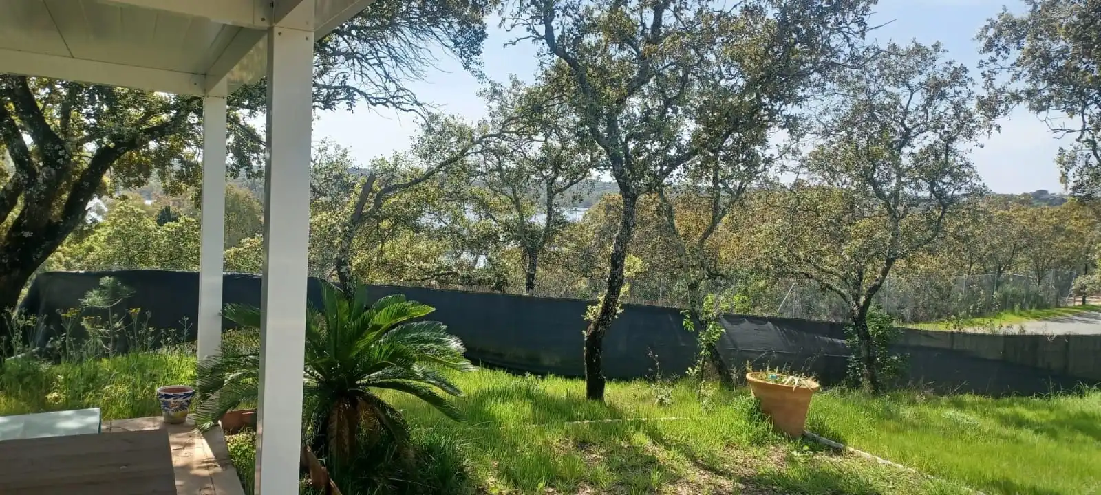 Haus mit Pool zum Verkauf in Castilblanco de los Arroyos, imagen 31