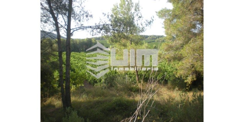 Finca rústica en venta en EL TOCHAR, Torres Torres
