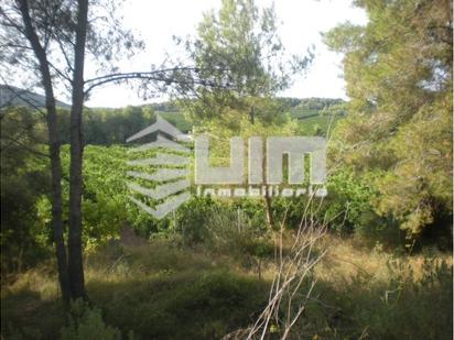 Finca rústica en venda a EL TOCHAR, Torres Torres