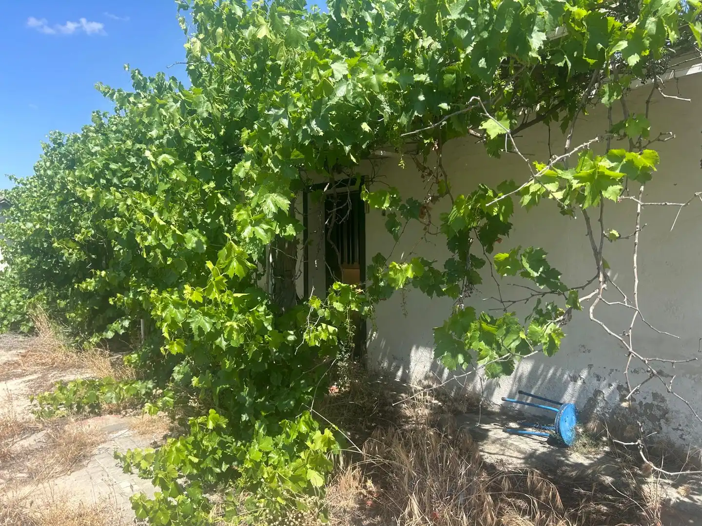 Casa o chalet en venta en Tiñosillos