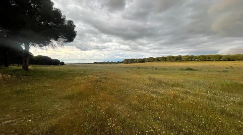 Panaderos Valladolid Inmobiliaria, Parcela de labor en Foncastin en venta de 36,1Ha., immagine 2