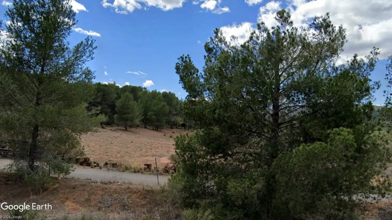 Land for sale in Algímia de Alfara