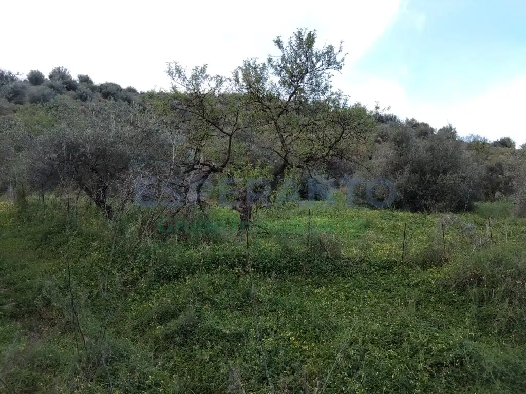 Terreni e lotti in vendita a Totalán, imagen 12