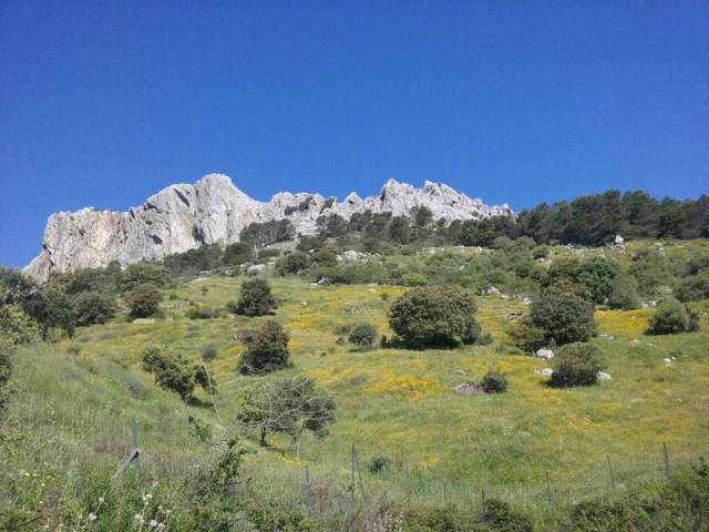 Finca rústica en Venta en benalauria en Algatocín