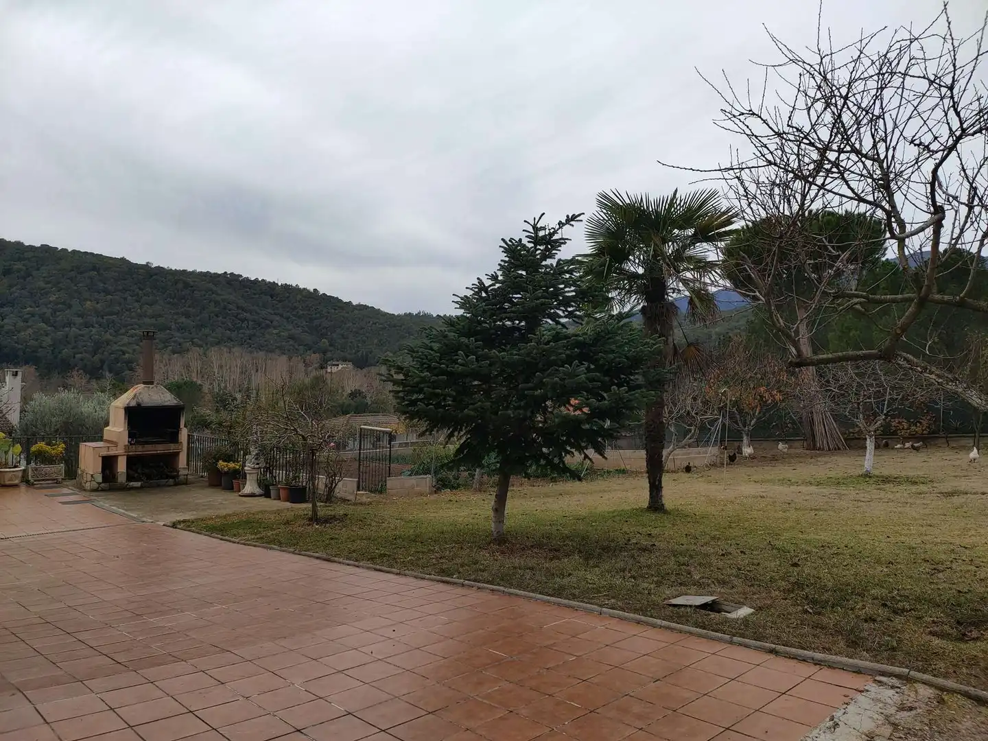Jardí de Casa o xalet en venda en Sant Feliu de Buixalleu amb Aire condicionat, Calefacció i Terrassa