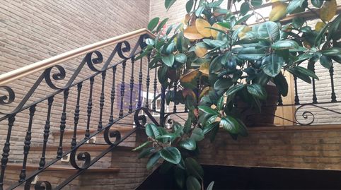 Photo 3 of Commercial properties for sale in Castañar de Ibor, Cáceres